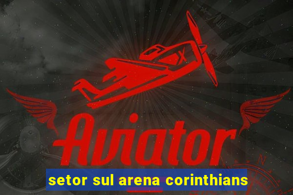 setor sul arena corinthians